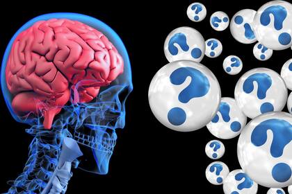 Actualmente, más de 55 millones de personas viven con demencia en todo el mundo y hay casi 10 millones de casos nuevos cada año, según datos de la Organización Mundial de la Salud