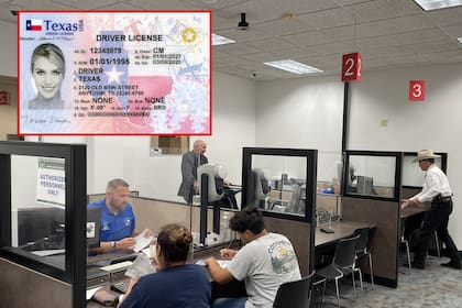 Actualmente, quienes residen en Florida, Texas o Arizona no tienen acceso a la licencia de conducir