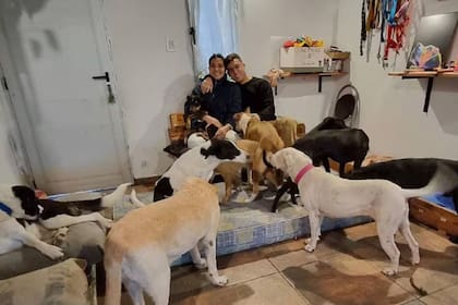 Actualmente, viven con 12 perros adoptados por él y varios más que están en tránsito