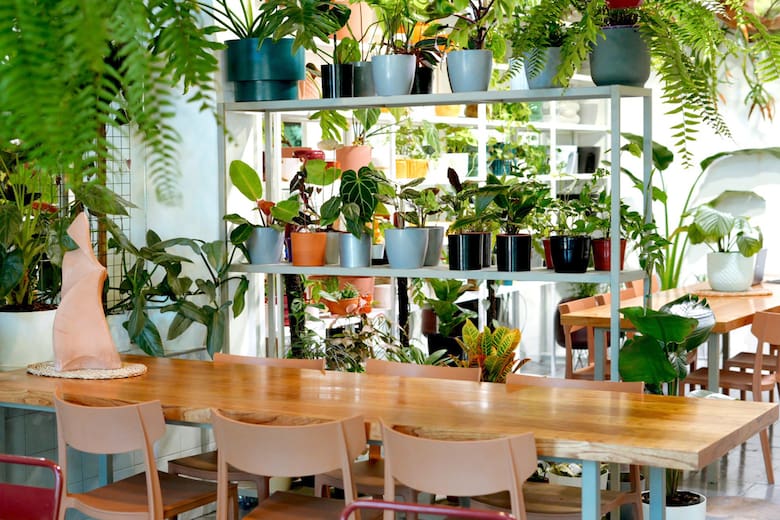 De vender lombrices a crear un vivero con café