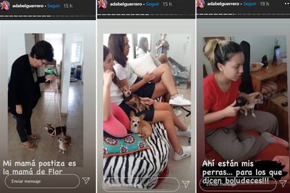 Adabel Guerrero mostró dónde viven ahora los dos chiguaguas que la acusaron de "abandonar"