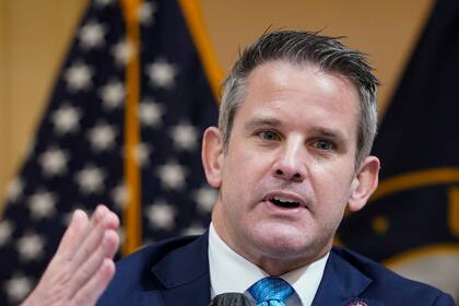 Adam Kinzinger es un fuerte crítico de Trump (AP Foto/Patrick Semansky, Archivo)