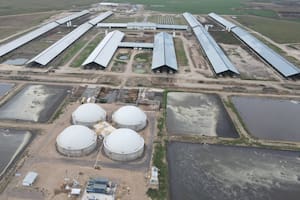 Adecoagro levantó US$300 millones