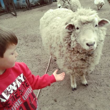 Además de alojamiento, Puilquen cuenta con una granja educativa