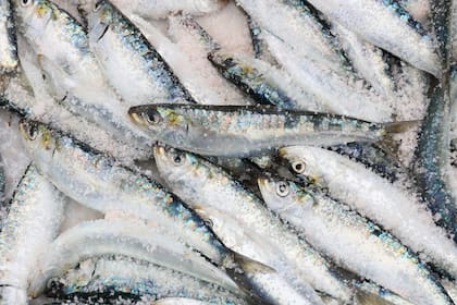 Además de B12, las sardinas son fuente de Omega-3