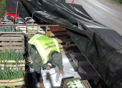 Además de Gendarmería, el operativo incluyó la intervención del SENASA y Bromatología