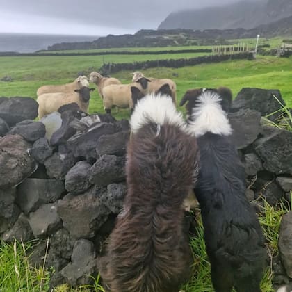 Además de la pesca, los habitantes producen lana y otras actividades ganaderas