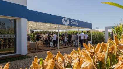Además de la propuesta genética, los productores encontraron en la actualización del Sistema NK y la plataforma Cropwise, más soluciones integradas según la realidad de cada lote.