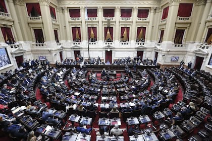 Además de las elecciones presidenciales, en los cargos nacionales se renovará la mitad de la cámara de Diputados y un tercio del Senado