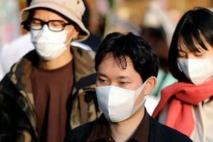 El proyecto fruto de la Segunda Guerra Mundial que hace que los japoneses sufran cada vez más alergias
