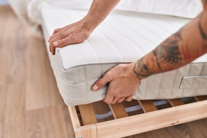 Además de las picaduras, su presencia puede detectarse por restos de exoesqueletos