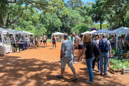 Además de lograr ser un punto de encuentro para la comunidad se va a poder encontrar una variada oferta de plantas