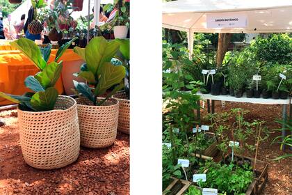 Además de lograr ser un punto de encuentro para la comunidad se va a poder encontrar macetas y hierbas aromáticas.