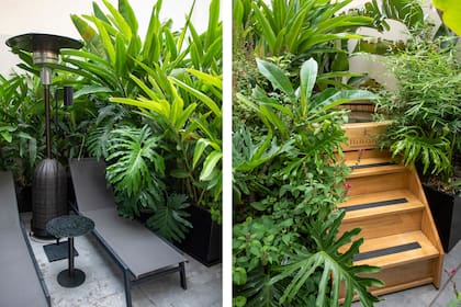 Además de los contrastes de textura y altura, se buscó sumar perfumes con la dama de noche, dáturas y jazmines. Para atraer fauna, un matriz de salvias y asclepias. En la terraza, el verde contrasta con el gris y negro. Un pequeño jacuzzi completa la propuesta.