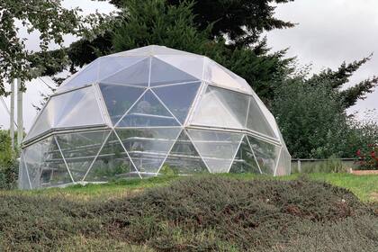 Además de los cultivos en invernadero, también tienen en tierra: eso les permiten generar semillas orgánicas, ya que la planta, en un medio controlado –como lo es un invernadero–, no llega a cumplir su ciclo y así se dificulta obtener buenas semillas.