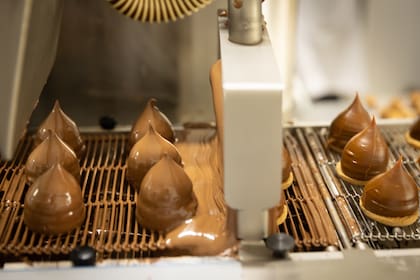 Además de los helados, elaboran chocolates artesanales con las mismas premisas de calidad.