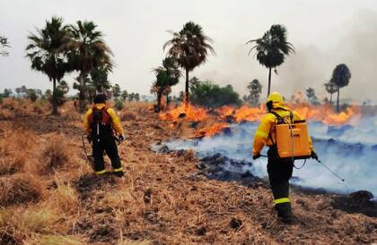 Adems de los pastizales, el fuego arras con una parte de la reserva natural Guaycolec