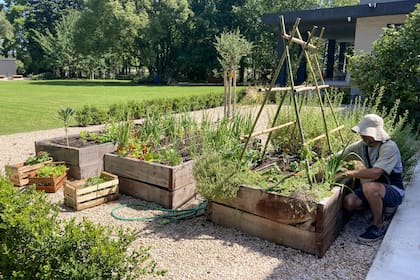 Además de planificar una huerta de acuerdo a las necesidades de sus clientes, Ana y Ale los invitan a hacerse parte del proyecto de cuidar y mantener esa fuente de vida. Actualmente ella y Ale están en el segundo año de formación en agricultura biodinámica en AABDA.