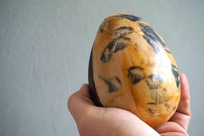 Además de ricos, los de Mestizo son obras de arte