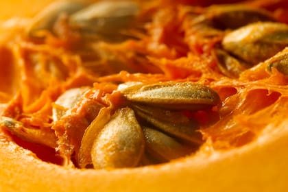 Además de ser fuente de proteína vegetal, aportan fibra y antioxidantes