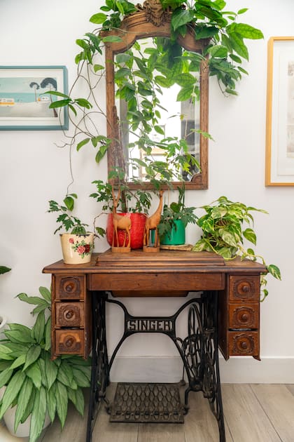 Además de su devociónpor los animales, María Sivak ama a las plantas