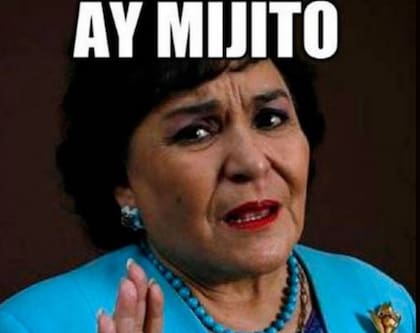 Además de sus papeles televisivos, Carmen Salinas se hizo conocida para las nuevas generaciones como protagonista de numerosos memes