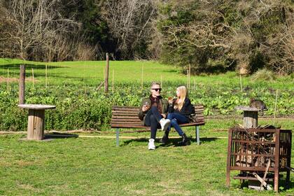 Además del almuerzo, se puede recorrer las plantaciones y comprar vegetales recién cosechados y productos como dulces, miel, vinagre vivo, kimchi y bebidas fermentadas.