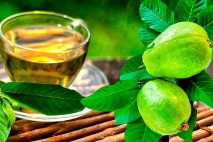Además del fruto, las hojas de guayaba pueden emplearse en tés o jugos naturales
