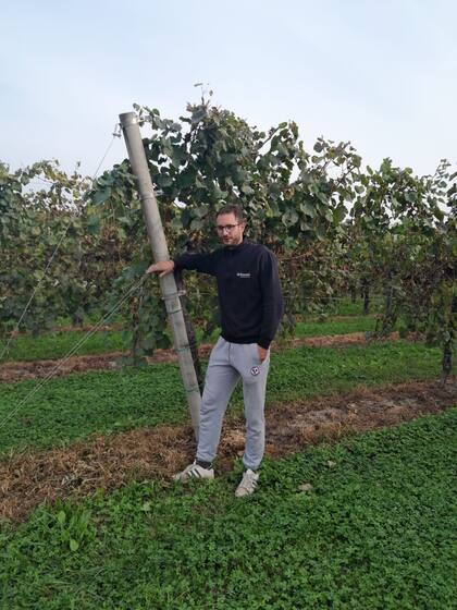 Además del tambo, Borga apuesta al viñedo