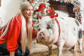 Dean McDermott, exmarido de Tori Spellig, reveló los motivos de su divorcio