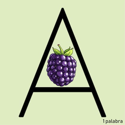 Adivinanza - LN Juegos