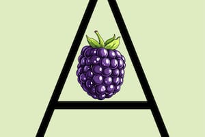 ¿Podés encontrar la palabra escondida en esta imagen?