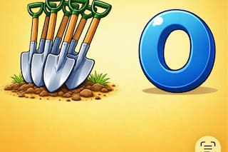 ¿Podés encontrar la palabra escondida en esta imagen?