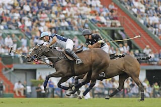 Fechas, sedes y más: lo que evalúa el polo para una Triple Corona en cuarentena