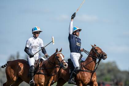 Adolfo "Poroto" Cambiaso, de La Dolfina-Brava, vivirá su estreno absoluto en el Argentino Abierto, con un récord de 15 años; salvo eventualmente en la final de Palermo, no se enfrentará con su papá, que pasará a ser el back de La Dolfina, al menos en el comienzo del certamen.