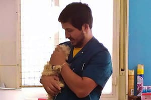 Adrián Coccia (37), veterinario conocido entre los vecinos del barrio Macrocentro de Bahía Blanca, sufrió la destrucción de su veterinaria. Se hizo viral por un video en redes sociales.