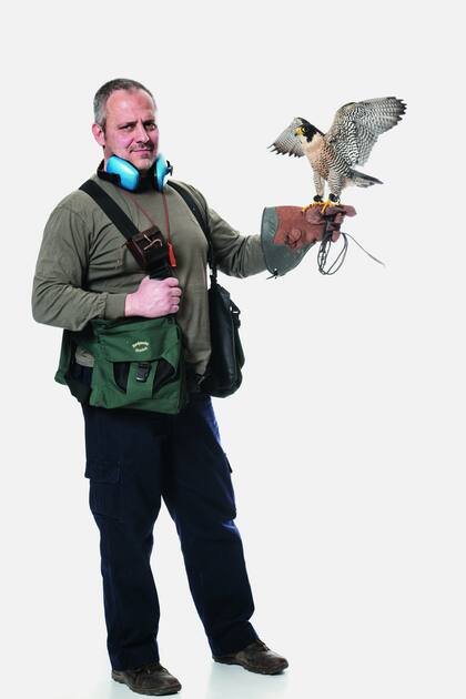 Adrián Luna. Con sus halcones peregrinos trabaja en el control de fauna en aeropuertos, o sea, que otras aves no interfieran en las operaciones aéreas