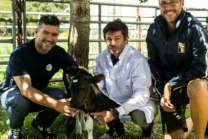 Adrián Mutto (Unsam), Nicolás Mucci (INTA) y Germán Kaiser (INTA) con la ternera nacida por transferencia embrionaria