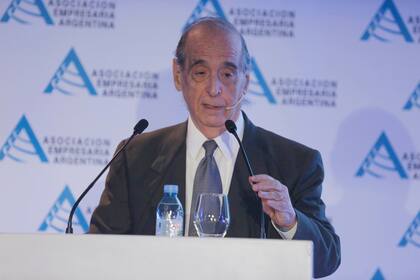 El economista Ricardo Arriazu, en la reunión de AEA