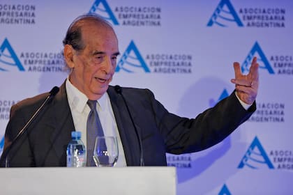 El economista Ricardo Arriazu, en la reunión de AEA