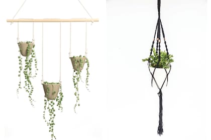 Aéreas: las plantas colgantes, como el conocido rosario o Senecio rowleyanus (izquierda), lucen mejor ubicadas en altura, donde se pueda apreciar el despliegue de hojas o frutos.
