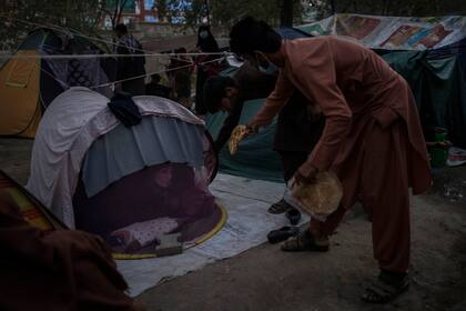 Afganos desplazados distribuyen comida donada entre otros desplazados en un campamento en Kabul, Afganistán