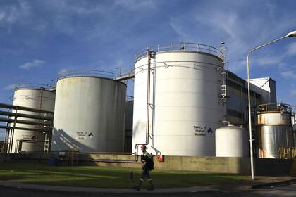 Afirman que los precios están por debajo del costo de producción