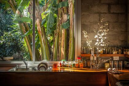 Afuera, los bananos –que avanzaron tanto que hubo que ponerles una losa para frenarlos– dan una vista selvática.