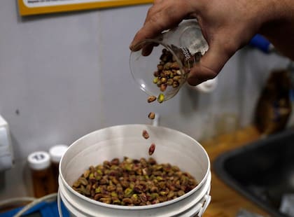 Agregan valor a la producción