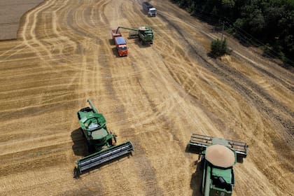 Agricultores con maquinaria cosechan un campo de trigo cerca del poblado de Tbilisskaya, Rusia, el 21 de julio de 2021. (AP Foto/Vitaly Timkiv, Archivo)