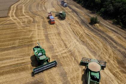 Agricultores con maquinaria cosechan un campo de trigo cerca del poblado de Tbilisskaya, Rusia, el 21 de julio de 2021. (AP Foto/Vitaly Timkiv, Archivo)