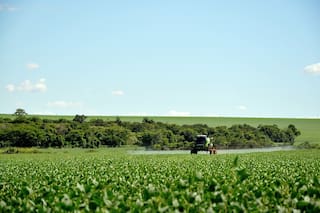 Agroconsult revisa al alza las previsiones de la soja de Brasil para la temporada 2025/26