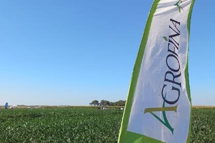 Agrofina es controlada por Los Grobo