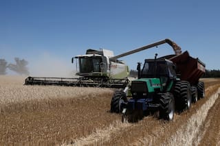 Agroindustria: una oportunidad para crecer en 2023 en todos los frentes